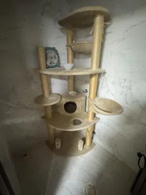 فيها ثلاث طوابق