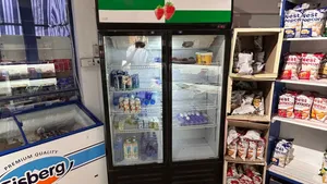 ثلاجة تبريد بابين