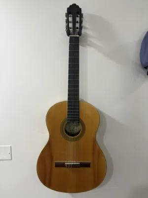 Greg Bennett Design C3  Samick