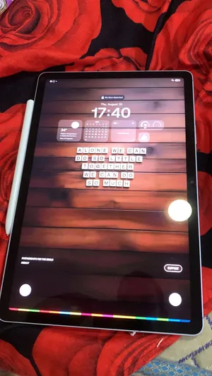 Samsung tap s10 fe Wi-Fi