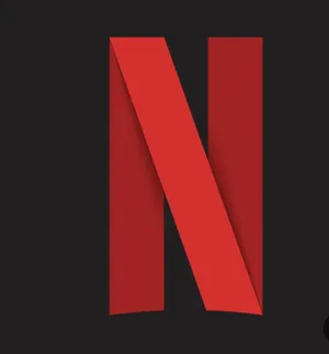 Netflix Accounts and Characters for Sale in Mafraq