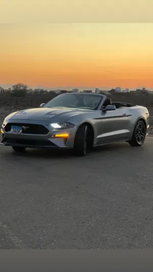 Used Ford Mustang in Al Batinah