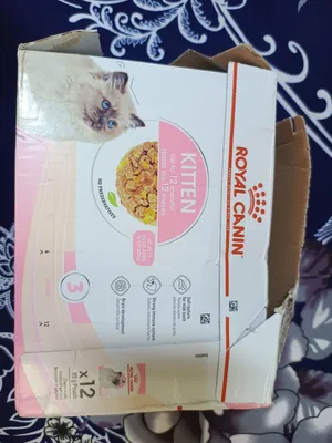 Royal Canin 80g * 12 pouch