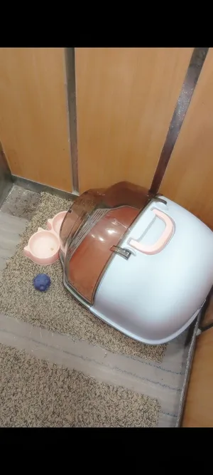 ليتر بوكس للقطط