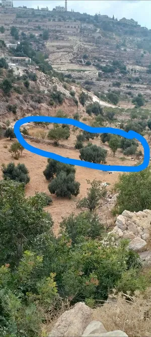 عقاري وتجاري
