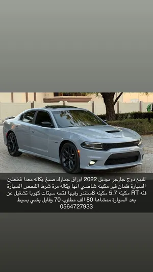 للبيع دوج جارجر اسمنتي صبغ وكاله 2022