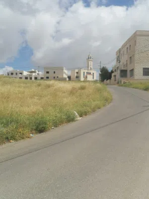 Residential Land for Sale in Amman Airport Road - Manaseer Gs
