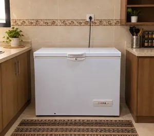 مجمده ماركه اندست الإيطالية العالميه نوعية اصليه إيطاليا الاصليه شرط الشغل بلاديه ماداخله تصليح
