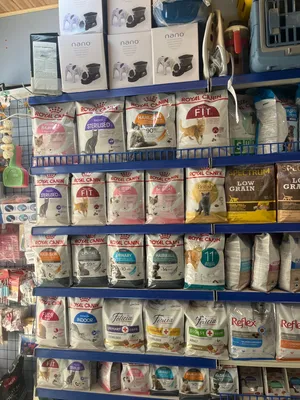 رويال كانن royal canin جميع الاصناف قطط وكلاب والعبوات توصيل مجاني مع هدية لكل طلب للطلبات فوق ال20