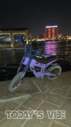 قوقو للبيع سعر خيالي