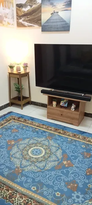 RUG in EXCELLENT CONDITION