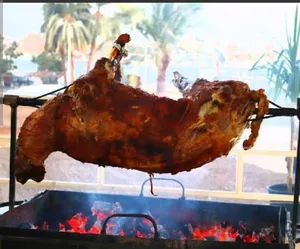 خشب وحطب متقطع جاهز للشواء والتدفئة في المطاعم والفنادق والحدائق ورحلات الصيد والصحاري
