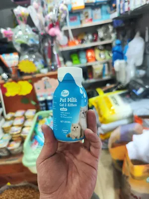حليب قطط خالي اللاكتوز سائل جاهز للتقديم مباشرة