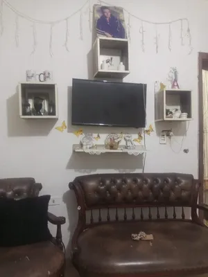 شاشه عاديه بسعر 35 دينار