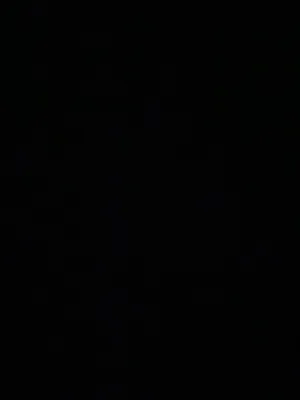 قطط للتبني