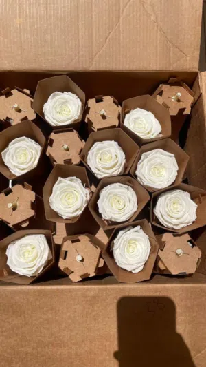 مشروع ورد محفوظ للبيع Infinity Flower Project for sale