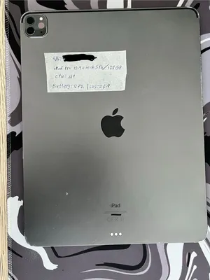 Ipad pro 12.9 m1 locked