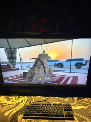 شاشة قيمنق 32 انش
