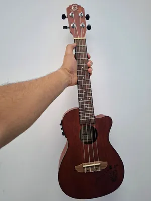 Ortega RU5MM-CE Bonfire Series Concert Ukulele with built-in-tuner