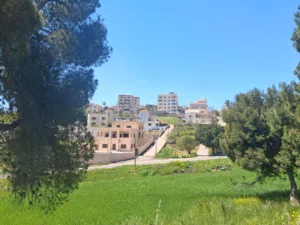 ارض في الشفا الجنوبي شفا العامريه