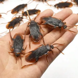 مقالب  رعب و نهفات مزح  حشرات دود   و اقعى صرصور و عنكبوت و عقرب صغير  مقلب صدمه مصنعه من السيلكون