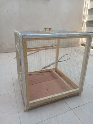 قفص طيور ب30 ألف