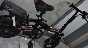 Rohan Wings E-bike
