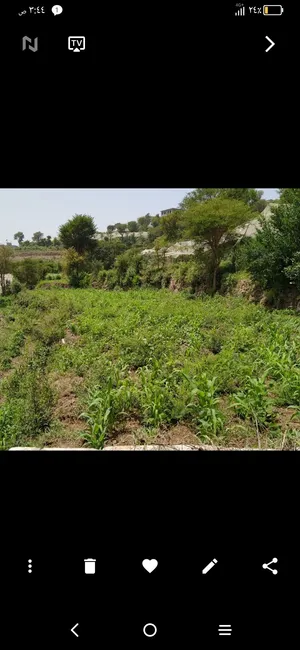 فرصة أرضية للبيع في الضباري   موقع ممتاز وقريب من المخططات الجديده