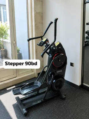 bowl flax stepper 90bd