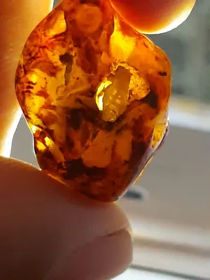 حجر كريم طبيعى وجد فى نهر النيل