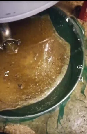 مناحل عسل مملكة النحل.. أسعار خاصه للتجار والكميات من الموقع مباشره