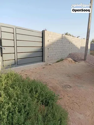 أرض للبيع _ كرزاز _ قريبة من البلاد _ تأكد من قراءة الوصف _ السعر في الوصف.