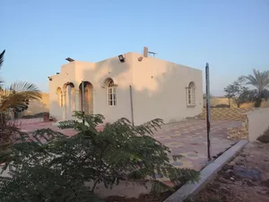 Farm Land for Rent in Al Batinah Al Masnaah
