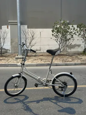 Folding bike (Bridgestone Transit)