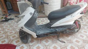 سكنس فحل .
