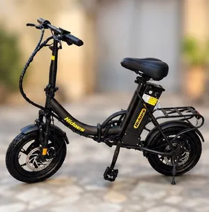 Electric bike for adults