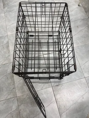 Dog caged & cat