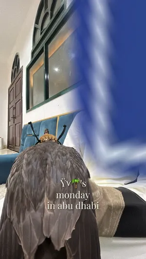 للبيع اليوك