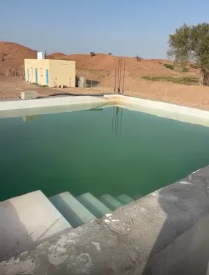 للبيع مزرعه في ولاية المضيبي