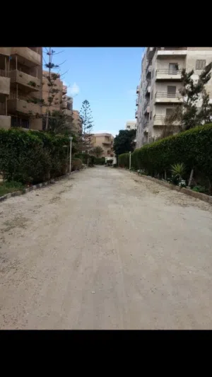الاسكندريه 200 متر