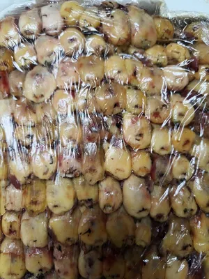 طيور دخل ممتازه للبيع
