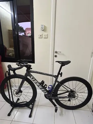 Sunpeed Road bike FULL CARBON with carbon wheelset