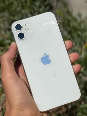 Apple iPhone 11 64 GB in Zliten