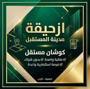 أرض مفروزة بكوشان مستقل للبيع في ازحيقة الطفيلة قرب العيص – مدينة المستقبل 2600 دينار للدونم
