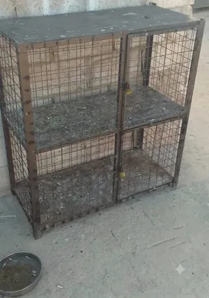 قفاص للبيع