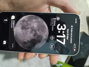 Apple iPhone 13 128 GB in Tanta