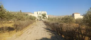 شمال عمان موبص قرب شارع الاردن أرض 4 دونم