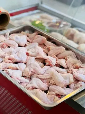 جناوح دجاج وطني