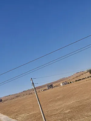 ارض زراعيه شرق جسر النعيمه للييع مزرعة تميره