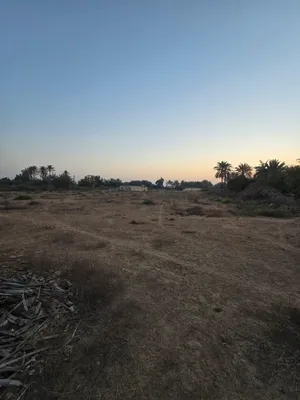 Farm Land for Rent in Al Batinah Sohar